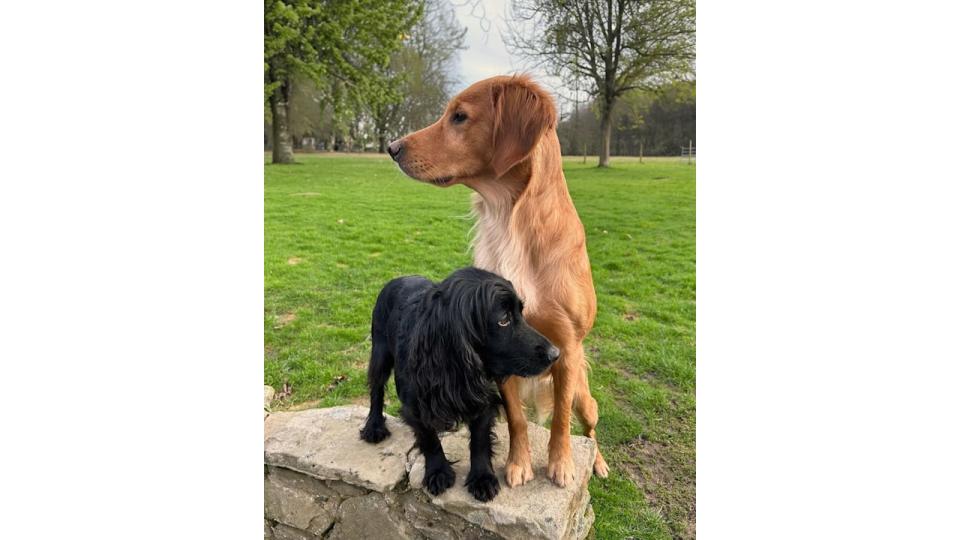 James shared a sweet photo from his family garden in Berkshire