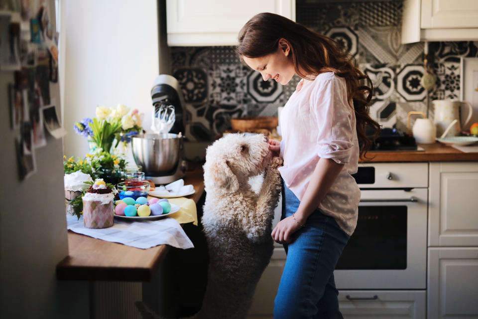 Easter is a wonderful time to reconnect with family and spend time with your pets — but how can you keep them safe from ingesting toxic food? Here's what you need to know about the worst foods and best foods to give your pet this Easter weekend. (Image via Getty Images) A beautiful girl with a dog of the Lagotto Romagnolo breed at home having fun on Easter holiday