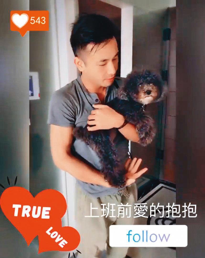 傅子純把對小孩的盼望放在雙犬身上。（翻攝自傅子純IG）