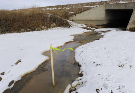 Clean-up efforts continue about 15 miles outside Williston, North Dakota January 22, 2015. REUTERS/Andrew Cullen