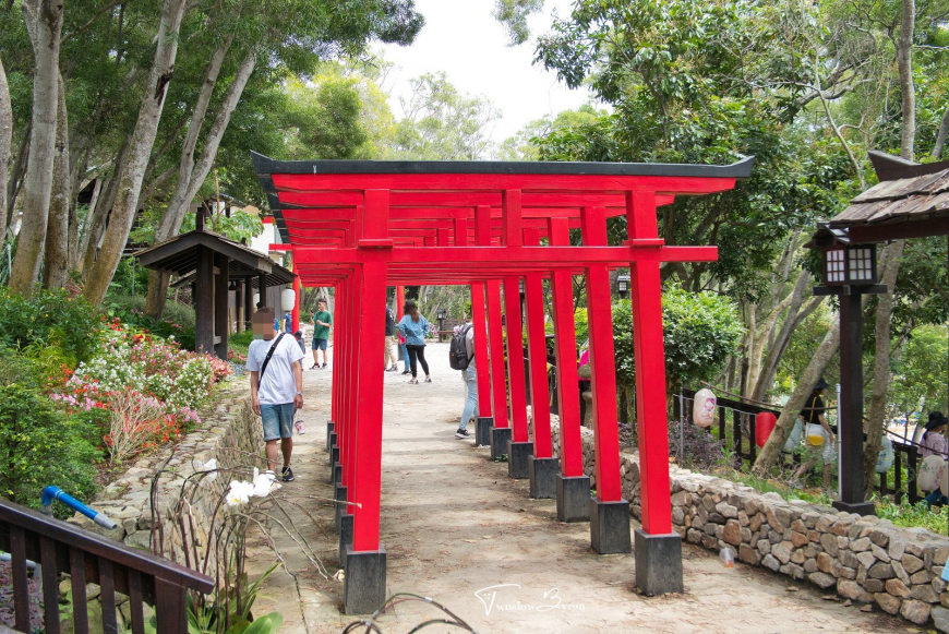 綠意山莊 鳥居