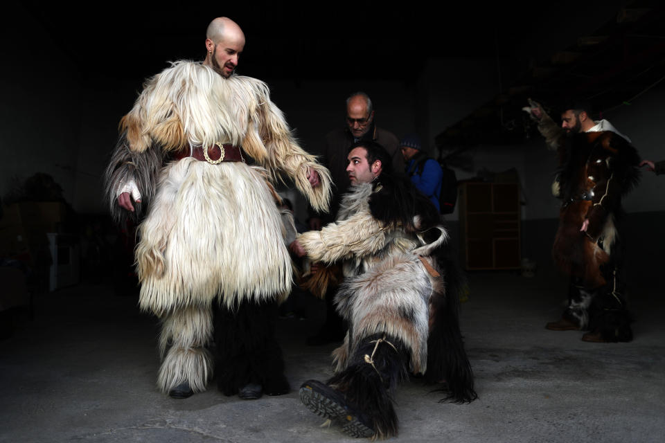 In this photo taken on Monday, Jan. 20, 2020, men prepare themselves before taking part at "Las Carantonas" festival in Acehuche, Spain. The Carantonas involves men pulling on animal hides that make them look like Chewbacca. At the Carantoñas festival in Acehuche, men are helped to pull on hairy, bulky costumes and scary masks before they walk down streets of whitewashed houses looking like wild beasts ("carantoñas"). Women parade in colorful embroidered shawls and skirts as music plays. (AP Photo/Manu Fernandez)