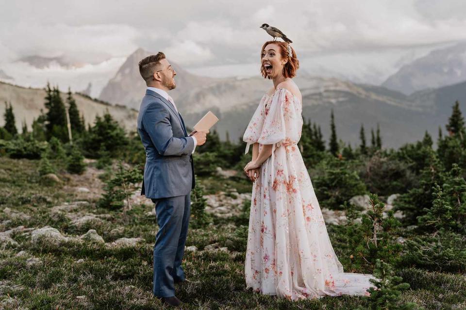 <p><a href="http://www.taralillyphotography.com">Tara Lilly Photography</a></p> Photo of a Canada jay landing on a bride