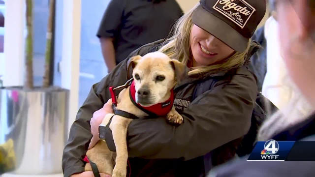 Owner has emotional reunion with 16-year-old dog after he went missing for  7 years