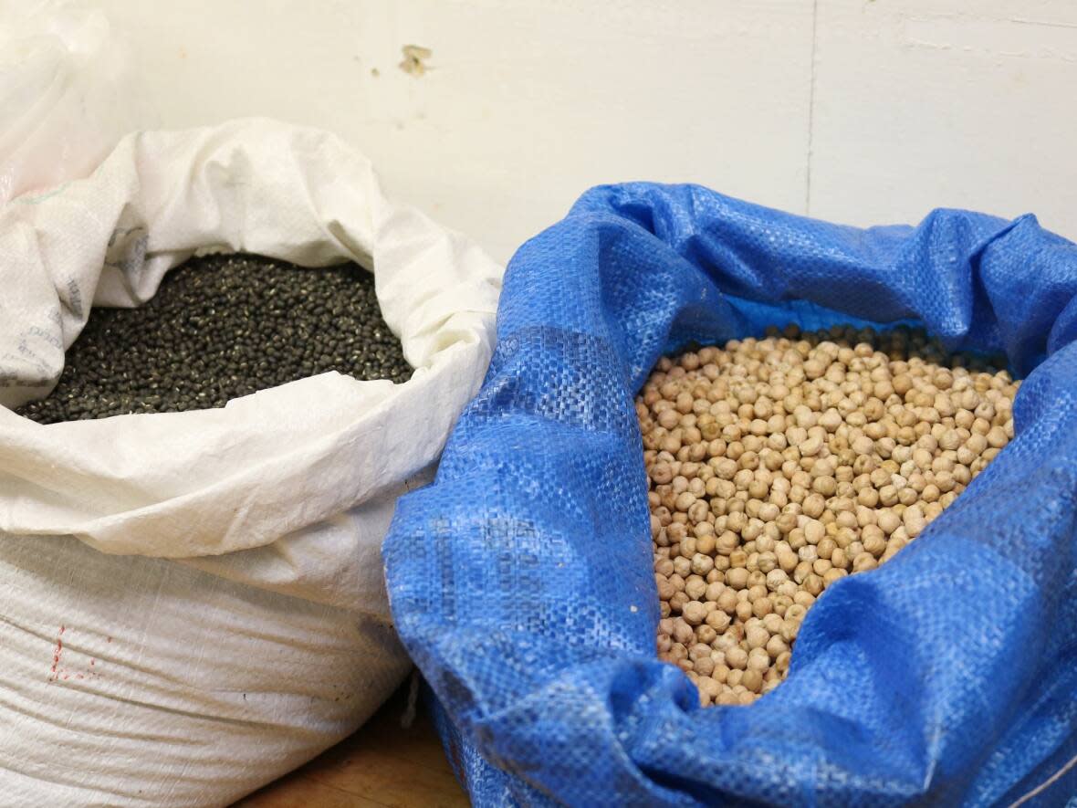 India has extended the suspension of a hefty tariff on imported lentils, opening the market for Canadian pulse producers.  (Olivia Stefanovich/CBC - image credit)