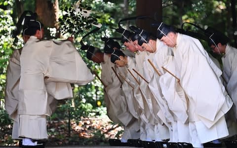 Shinto priests recite religious words before entering the main building to conduct a festive ceremony to report the enthronement of the new emperor - Credit: &nbsp;CHARLY TRIBALLEAU/AFP
