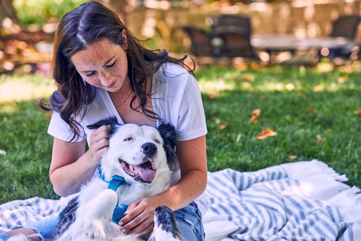 woman cuddling with her dog outside on a blanket; why do some dogs want to cuddle