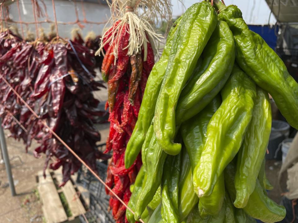 Fotografía del 12 de julio de 2021 de chiles verdes y rojos exhibidos en un puesto a orillas de la calle en Hatch, Nuevo México. (AP Foto/Susan Montoya Bryan, Archivo)