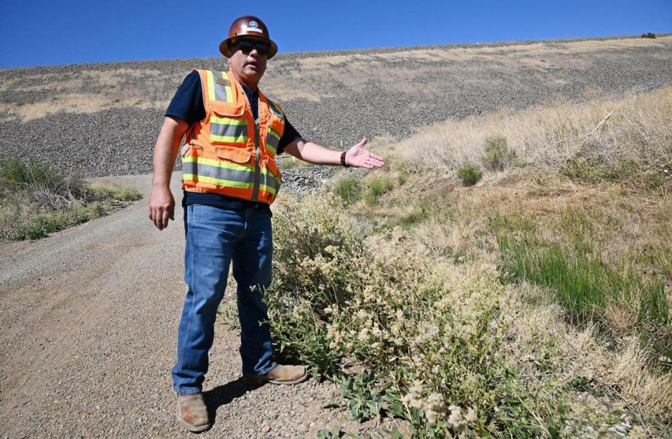 Henry Garcia, construction manager with the Bureau of Reclamation, points out the green vegetation below the B.F. Sisk Dam at San Luis Reservoir, evidence of toe drain seepage Thursday, Aug. 8, 2024.