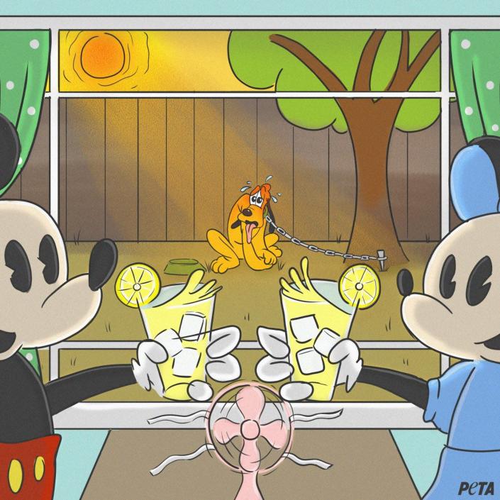Mickey and Minnie sit inside with cool air and cold drinks while Pluto is chained in the sun outside.