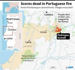 Raging forest fires kill 62 in Portugal