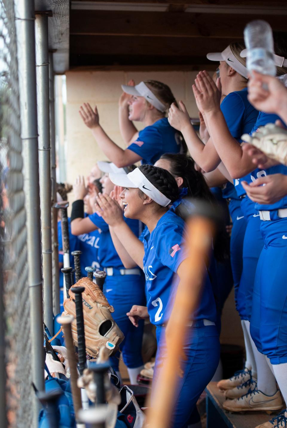 The bench cheers as the Royals take a 3-0 lead during the Northview vs Jay 1A regional semifinal playoff softball game at Jay High School on Thursday, May 12, 2022.