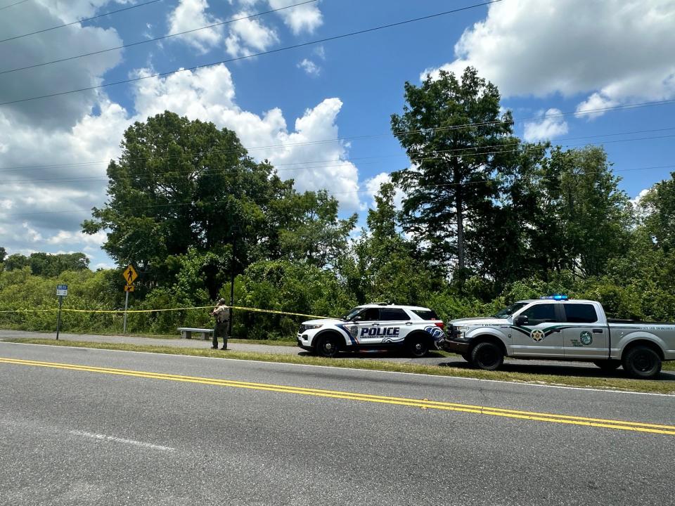 Officers with the University of Florida Police Department and FWC block off a tree with a black bear sitting in it on Thursday afternoon in Gainesville.