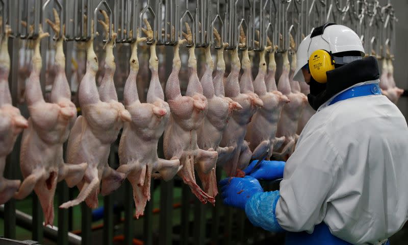 A worker processes chickens on the production line at the Soanes Poultry factory near Driffield