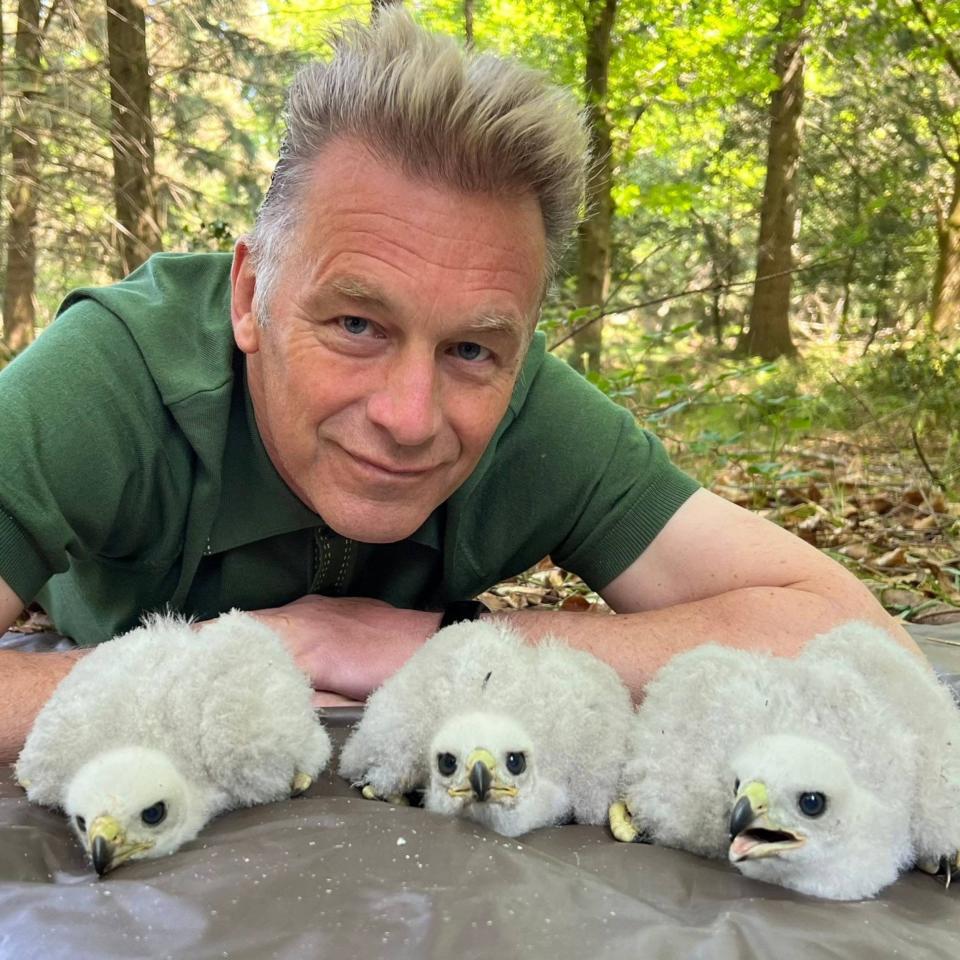 Hampshire Police has written to the man who complained to say Packham has not committed an offence