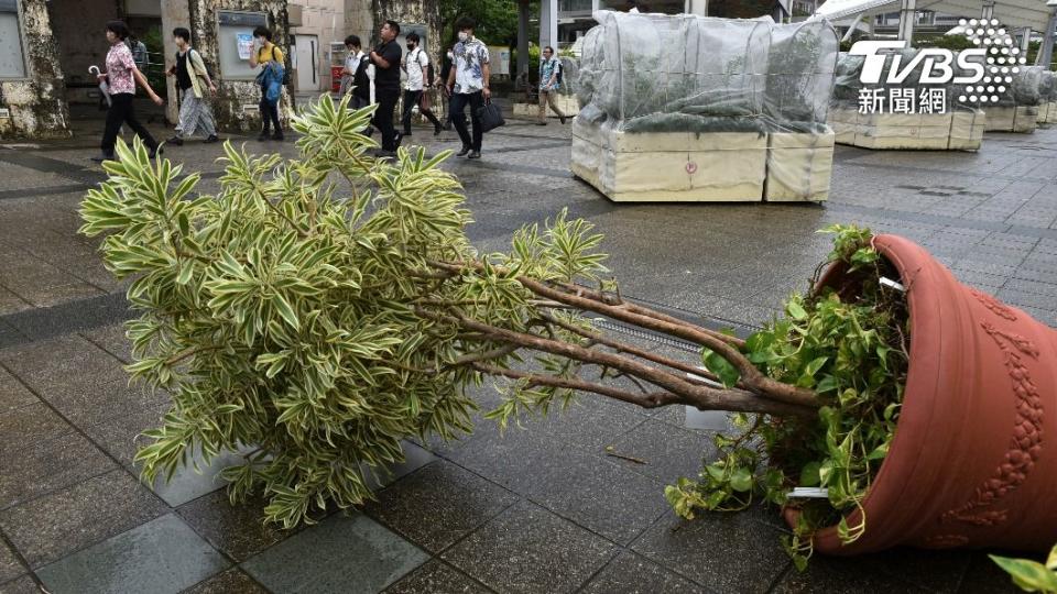 路上沒有被加固保護的花盆，遭吹倒在地。（圖／達志影像美聯社）