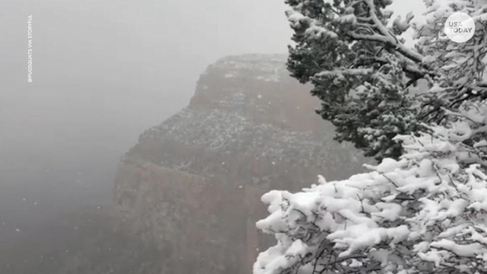 Several inches of snow turns Grand Canyon into winter wonderland.