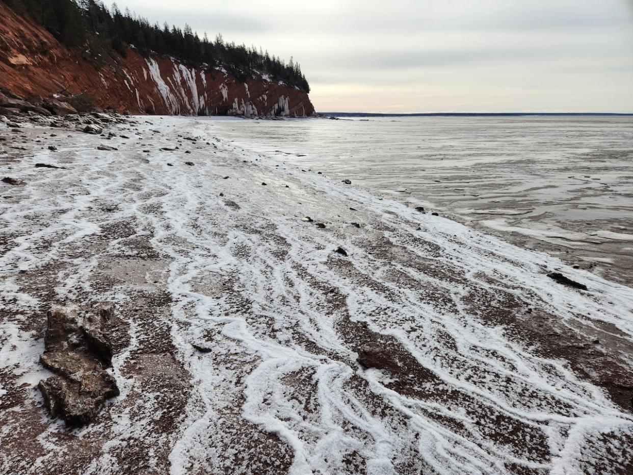 Environmental non-profits are encouraging the public to participate in a Department of Fisheries and Oceans survey that looks to gain opinion, feedback and expertise on marine conservation plans for the waters of the Scotian Shelf and the Bay of Fundy.  (Submitted by Karel Allard - image credit)