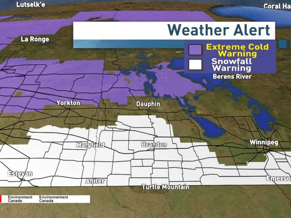 Snowfall warnings were issued Sunday morning for southeast Saskatchewan and southwest Manitoba. (Riley Laychuk/CBC - image credit)