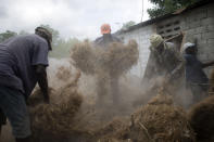 In this May 27, 2019 photo, workers prepare stringy roots culled from the vetiver plant, at a factory in Les Cayes, Haiti. The men gather the roots to produce an essential oil used in fine perfumes ranging from Chanel to Guerlain. The plant is in the same family as corn and sugarcane. (AP Photo/Dieu Nalio Chery)