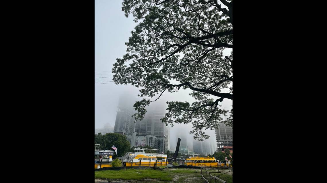 Dense fog is stretching across South Florida and has blanketed downtown Fort Lauderdale along the New River.