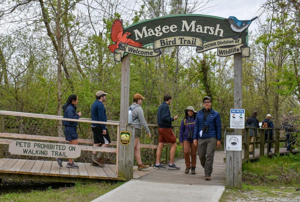 Remodeled Magee Marsh Visitor Center opens for Bird Ohio Day