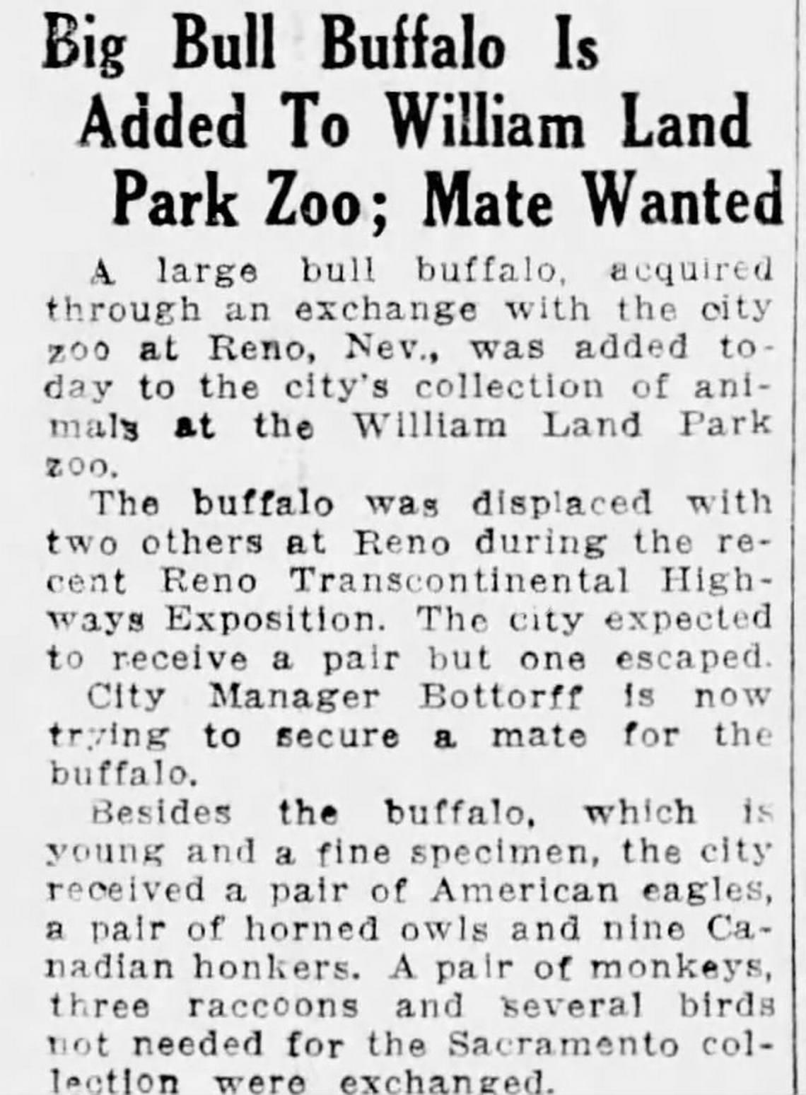 A story in the Sept. 8, 1927, edition of The Sacramento Bee, announces the arrival of a large buffalo from Reno. City officials expected to receive a pair, but one escaped.