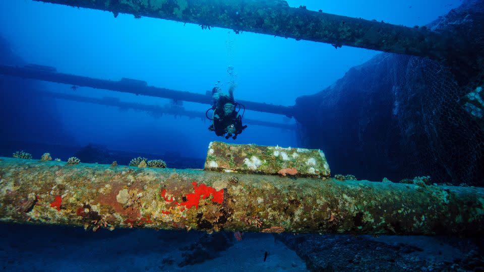 Part of a submarine internet cable between Aqaba in Jordan and Taba, Egypt, in the Red Sea. Internet connectors have also been damaged at sea. - Frank Schneider/imageBROKER/Shutterstock