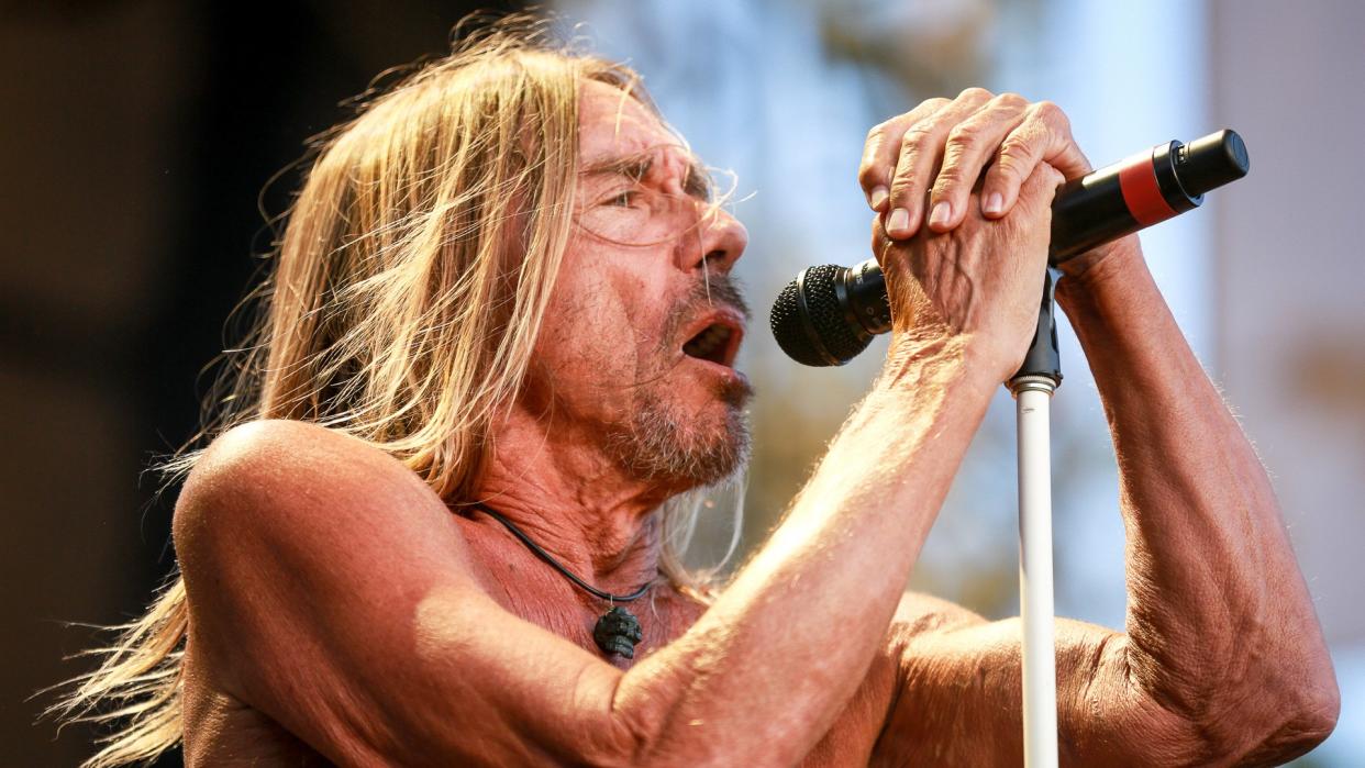 LOS ANGELES, CA - JULY 23:  Iggy Pop performs onstage on day 3 of FYF Fest 2017 at Exposition Park on July 23, 2017 in Los Angeles, California.