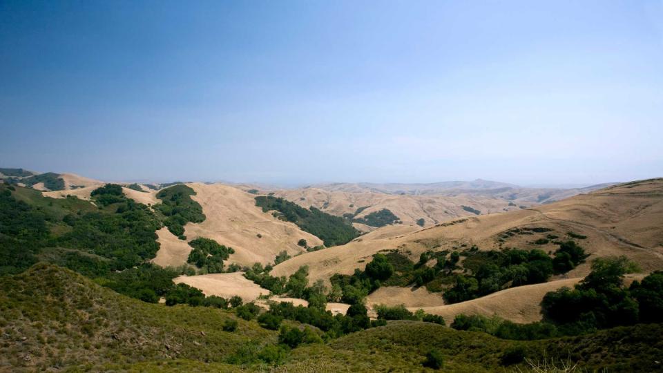 Golden hills of Paso Robles, California