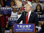 <p>Republican presidential candidate Donald Trump speaks at a campaign event in Albuquerque, N.M., Tuesday, May 24, 2016. (AP Photo/Brennan Linsley) </p>