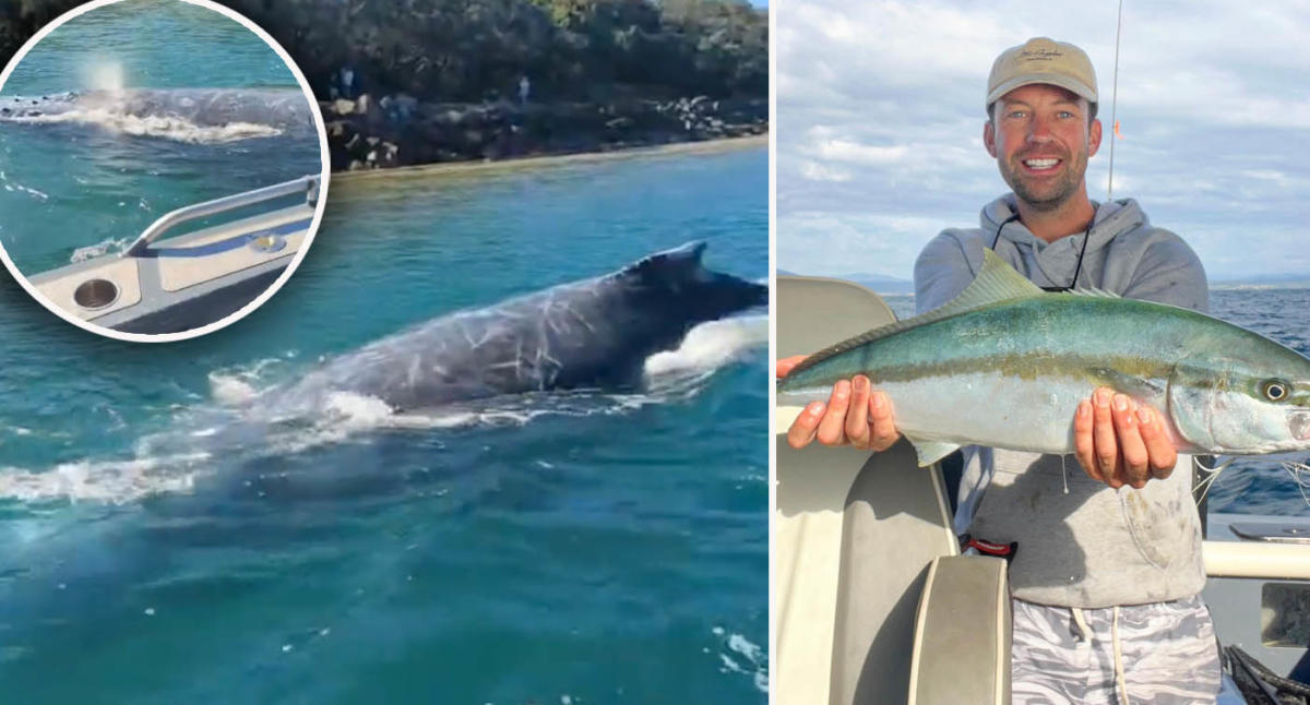 Fisherman’s incredible ‘once in a lifetime’ encounter in Aussie waters