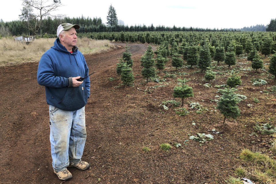 In this Dec. 5, 2019 photo, Jan Hupp holds a radio as he stands on his Christmas tree farm in Silverton, Ore. Hupp said his business couldn't operate at the level it does without immigrant workers, and on Wednesday, Dec. 11, 2019, the U.S. House passed a bill that would loosen restrictions on hiring foreign agricultural workers and create a path to citizenship for more than 1 million farm workers estimated to be in the country illegally. The bill's fate in the Senate is unclear, and the White House hasn't said if President Donald Trump would sign it. But the 260-165 vote was a rare stroke of bipartisanship on immigration. (AP Photo/Andrew Selsky)