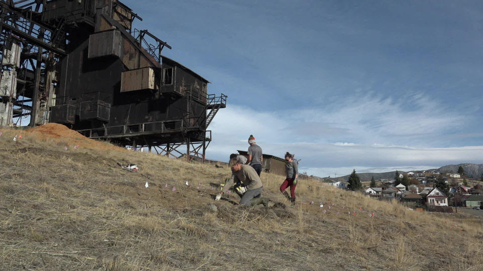 Planting in soil that was once the detritus of the mining industry, in Butte, Montana. / Credit: CBS News
