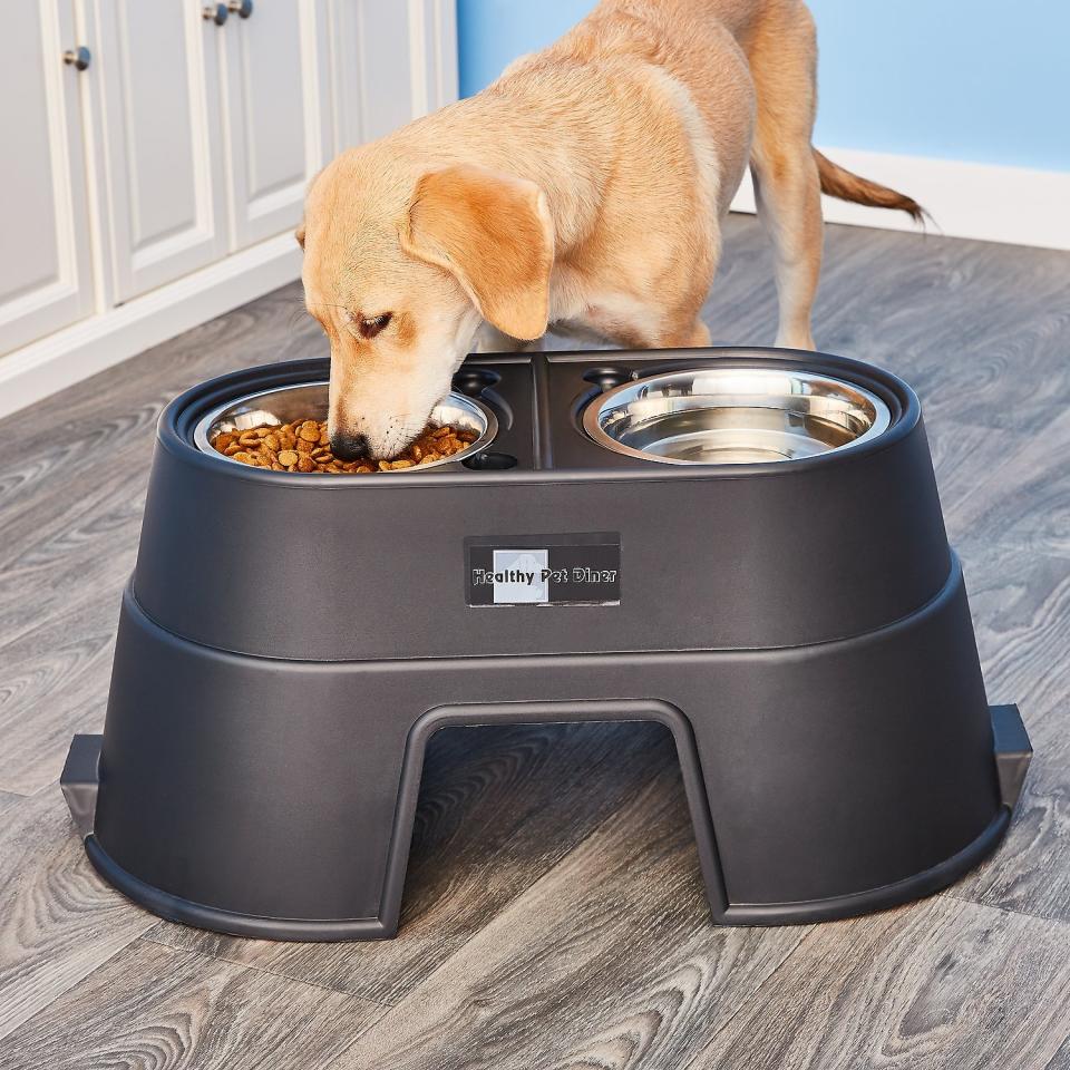 OurPets Comfort Elevated Dog & Cat Feeder (Photo: Chewy)