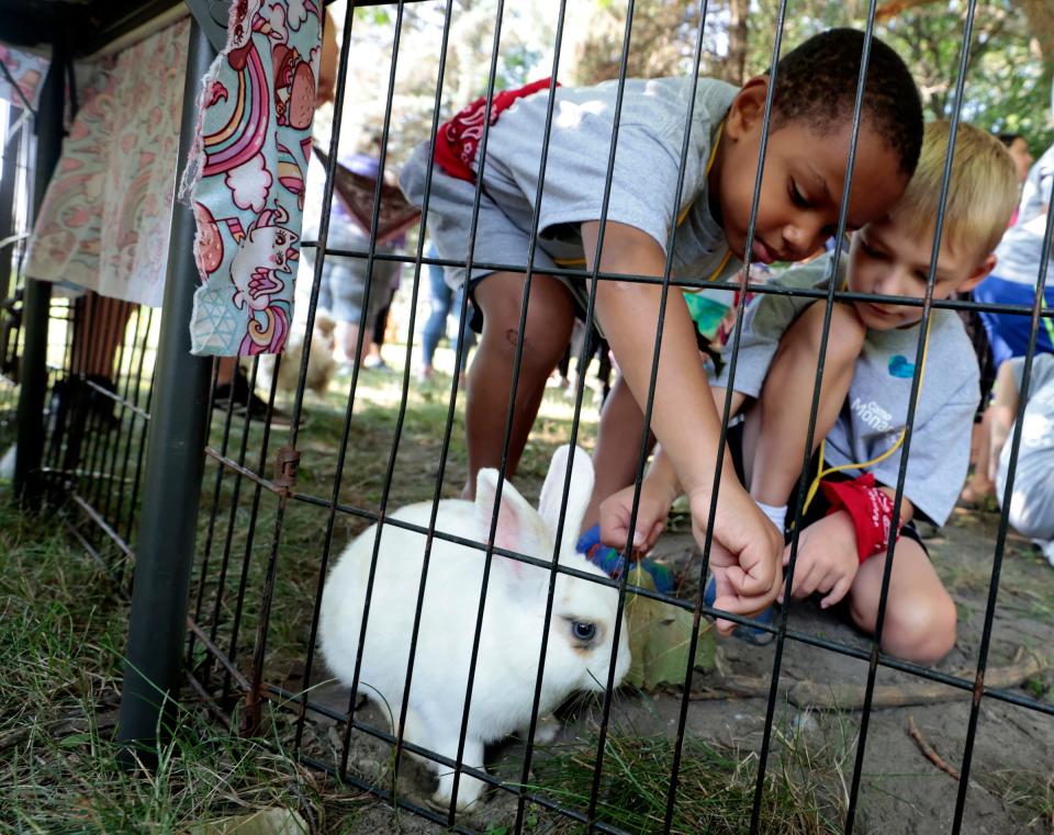 Jai'Ari Brisco, 5 and Jackson Davidson, 7, try and feed a Mini Rex rabbit a leaf during playtime during the second annual Camp Monarch run by Angela Hospice Center at the Madonna University Welcome Center in Livonia on August 4, 2023. 
The two-day camp is for children ages 5 to 17 who have experienced the loss of a loved one to allow them to bond with other kids their age, talk about grief and get consoling from adults.