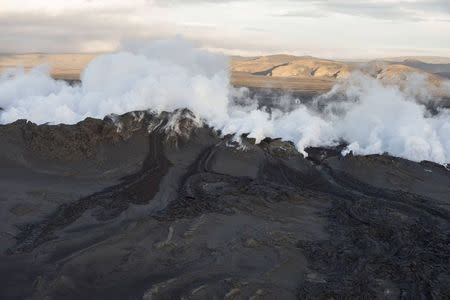 REFILE - CAPTION CLARIFICATION - Steam and smoke rise over a 1-km-long fissure in a lava field north of the Vatnajokull glacier, which covers part of Bardarbunga volcano system, August 29, 2014. REUTERS/Marco Nescher