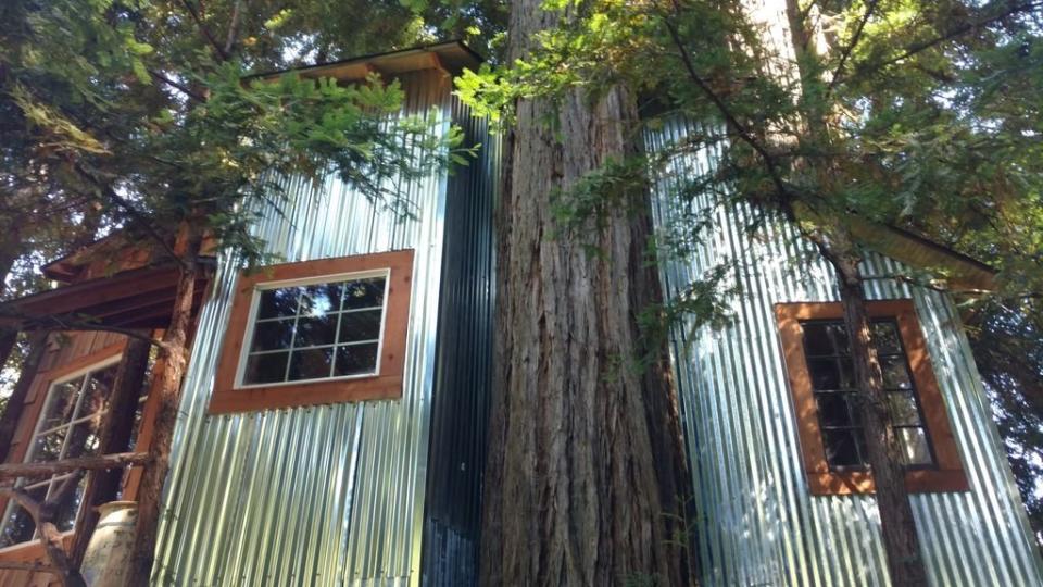 This treehouse is nestled in the Old Growth Redwoods and is perfect for nature-loving travelers. With lofty ceilings, an oak spiral staircase and solar string lights, it's the perfect getaway for those looking to unplug.&nbsp;<a href="https://www.homeaway.com/vacation-rental/p4648505" target="_blank">Check it out</a>.&nbsp;