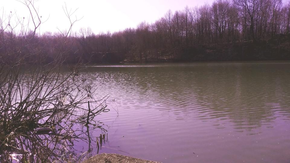 A pond at the former brickyard property in Wadsworth will become part of a 200-acre park and sports complex in the city. This is the largest of three ponds at the site.