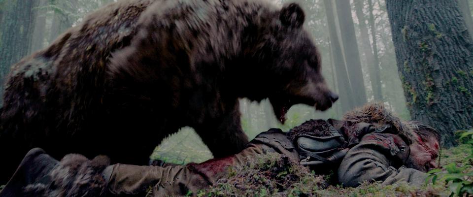 The bear tears into Leonardo DiCaprio's back in 'The Revenant'. (Credit: 20th Century Fox)