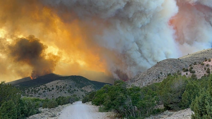 An image of the Silver King Fire shared by Gov. Spencer Cox on July 7, 2024. (Courtesy: Gov. Spencer Cox)