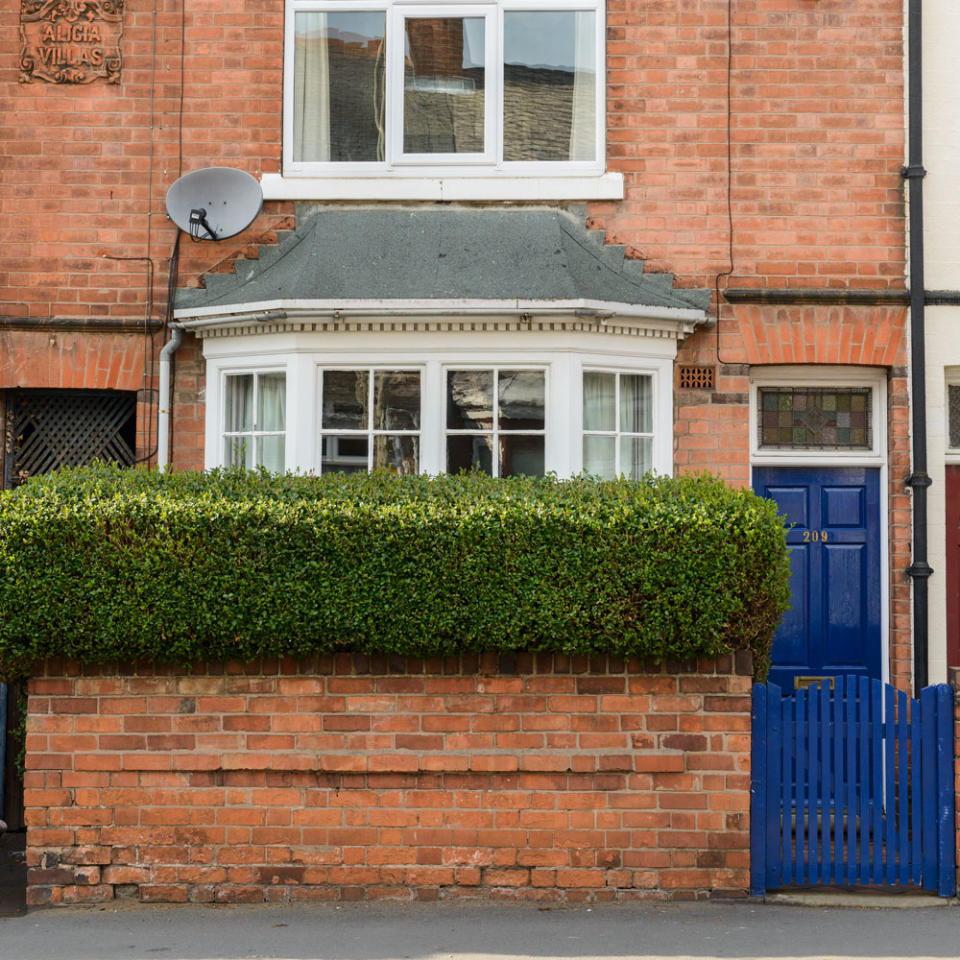 Plant tactical topiary for privacy