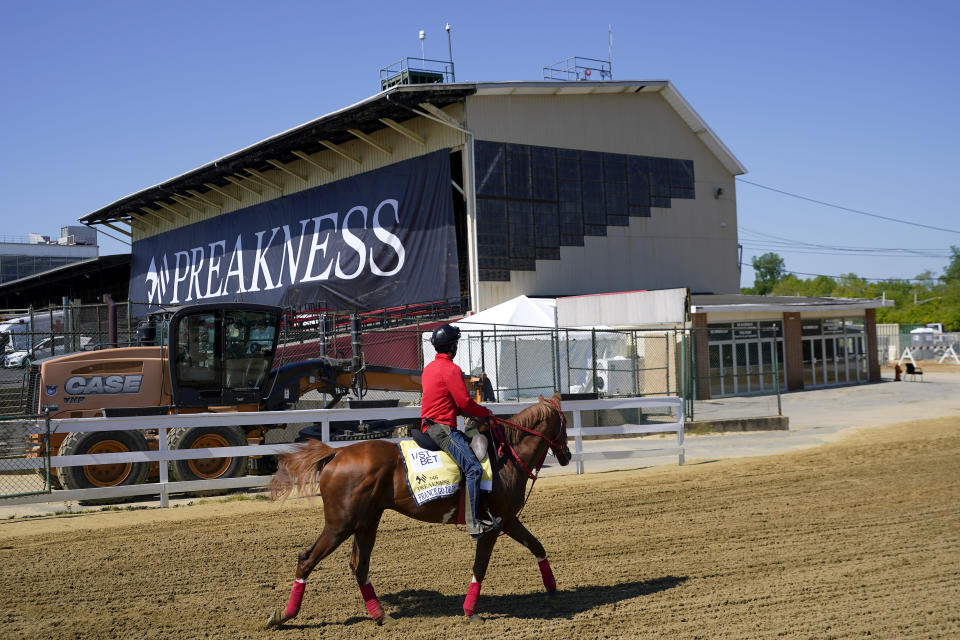 An exercise ride works out with France Go De Ina during a morning workout at Pimlico Race Course ahead of the Preakness Stakes horse race, Tuesday, May 11, 2021, in Baltimore. (AP Photo/Julio Cortez)