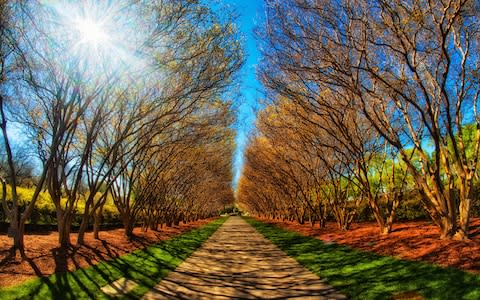 The Dallas Arboretum - Credit: dan huntley