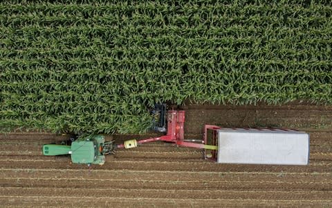 US farm - Credit: TANNEN MAURY/EPA-EFE/REX