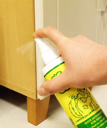 a model spraying furniture with the deterrent 