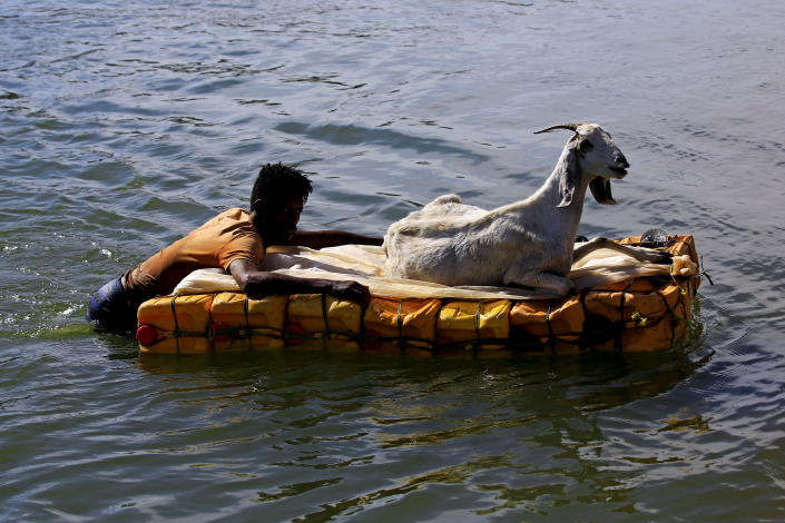 An Ethiopian man who fled the ongoing fighting in Tigray region, holds on jerricans used as a floater for his goat as they cross the Setit river on the Sudan-Ethiopia border in the Hamdayet village, in eastern Kassala state, Sudan. (Mohamed Nureldin Abdallah/Reuters)