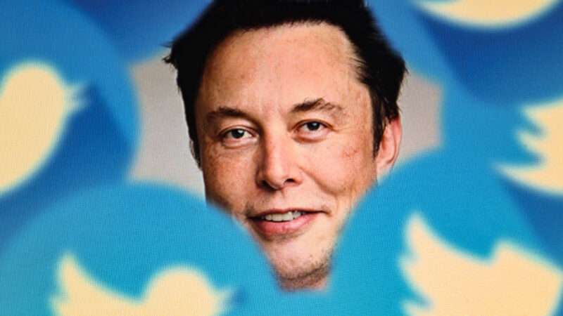 Elon Musk surrounded by Twitter birds