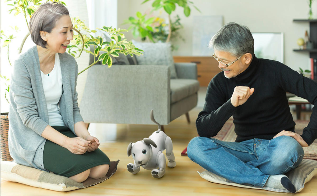 Sony Aibo Review: What It's Like To Live With a $2,900 Robot Dog