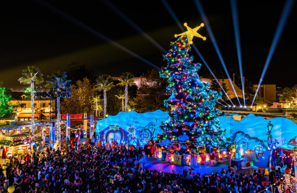 The crowd at night around the lit tree